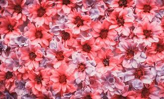 Artificial Flowers Wall for Background in vintage style photo