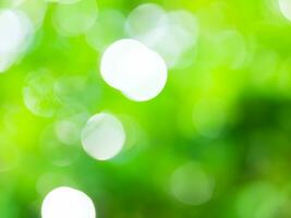 Abstract blurred green color for background, Blur leaves at the health garden outdoor and white bubble focus. photo