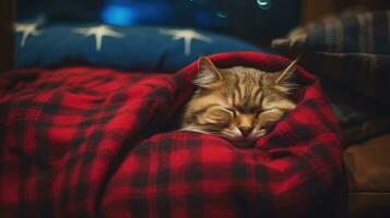 Cute cat sleeping on sofa at home, closeup. Lovely pet Ai generated photo