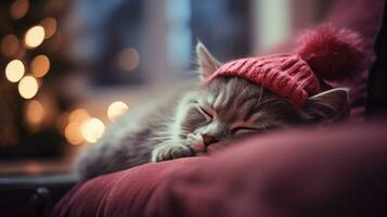 ai generado hermosa siberiano gato en rojo Navidad sombrero dormido en sofá a hogar foto