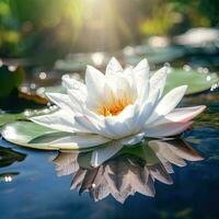 AI Generative Beautiful white water lily with dew drops on the water surface photo