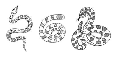 Set of different snakes with hand drawn outline. Vector collection of elapidae, python, rattlesnake. Tropical or Wild West poison viper. Vector wildlife concept. Dangerous serpent in action