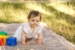 gracioso pequeño niña en un picnic en el parque en un verano soleado día gateando en el cobija foto