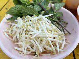 bean sprouts and sweet basil photo