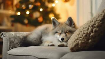 linda pequeño zorro dormido en sofá en habitación con Navidad árbol y luces ai generado foto