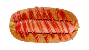 Hot dog isolated on white background photo