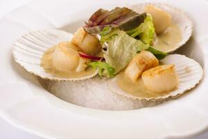 Seared scallops shell with butter and lettuce photo