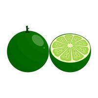 Lime Is A Fruit That Has A Very Sour And Fresh Taste. This Fruit Grows A Lot In Tropical Climates vector