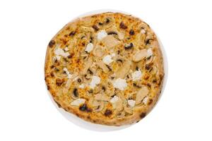 Pizza with chicken and mushrooms on plate photo