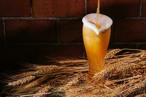 torrencial cerveza dentro vaso con trigo orejas foto