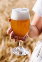 glass of beer in hand against the background of wheat field photo