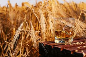 glass of whiskey in a field with ears photo