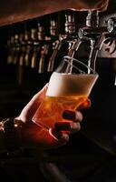 Close-up of barman hand at beer tap pouring a draught lager beer photo