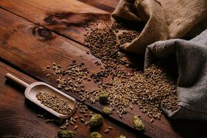 Fresh green hops, wheat grains and spikes on wooden table photo