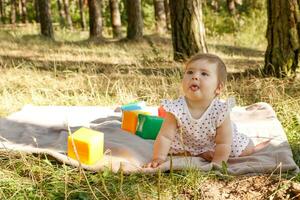 gracioso pequeño niña en un picnic en el parque en un verano soleado día sentado con cubitos foto
