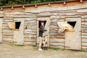 un niña en un granja trata caballos y un cabra con un manzana foto