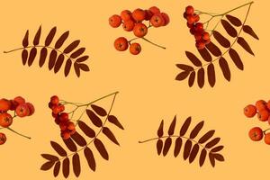 Autumn branch of red rowan berry with red rowan leaves pattern on background photo