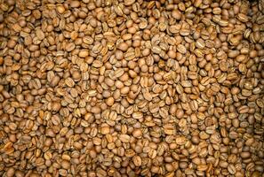 Roasted coffee beans background. Close up of coffee beans background. photo