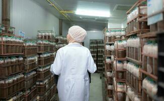 Portrait of a female scientist carrying a box with mushroom lumps in a sterile and temperature-controlled room photo