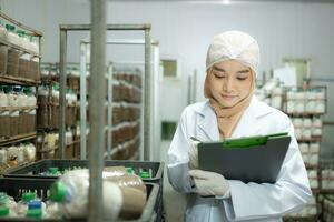 joven asiático musulmán hembra científico haciendo investigación a un seta fábrica, examinando seta levadura agente en un estéril y temperatura controlada habitación. foto