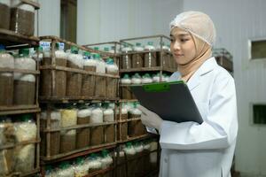 Young asian muslim female scientist doing research at a mushroom factory, examining mushroom leavening agent in a sterile and temperature-controlled room. photo