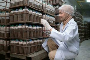 Young asian muslim female scientist doing research at a mushroom factory, investigating the growth of fungi in mushroom lumps. in a sterile and temperature-controlled room photo