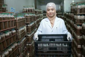 Portrait of a female scientist carrying a box with mushroom lumps in a sterile and temperature-controlled room photo
