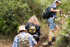 grupo de amigo en un soleado día en el bosque joven grupo caminante con mochila y trekking polos foto