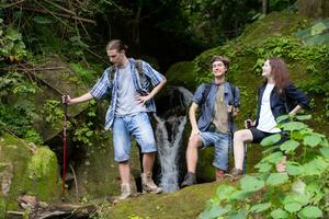 grupo de joven personas excursionismo en el bosque. viaje y aventuras concepto. foto