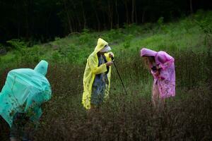 Group of friends in raincoats walking on the forest path, Hiking concept. photo