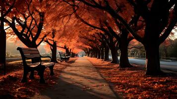 A row of benches on a sidewalk lined with trees. The trees are losing their leaves, which are falling to the ground in a colorful array. photo