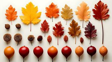 A group of autumn leaves arranged on a white background. The leaves are a variety of colors photo