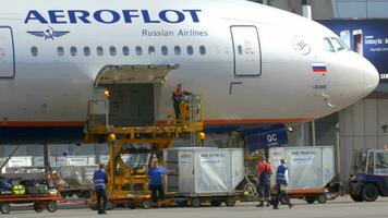 Unloading Plane from the Cargo and Luggage video