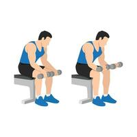 Man doing seated dumbbell palm down wrist curls or forearm curls exercise. vector