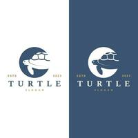 Turtle Logo Design Vector Illustration Symbol Template
