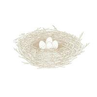 Bird's nest Cartoon Line Art Illustration Logo vector