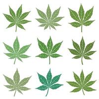 Simplicity cannabis leaf freehand drawing flat design collection. vector