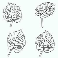 Simplicity monstera leaf freehand continuous line drawing flat design. vector