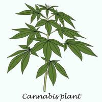 simplicidad planta de cannabis dibujo a mano alzada diseño plano. vector