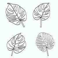 Simplicity monstera leaf freehand continuous line drawing flat design. vector