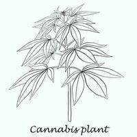 simplicidad planta de cannabis dibujo a mano alzada diseño plano. vector