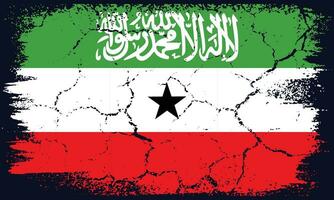 Flat Design Grunge Somaliland Flag Background vector