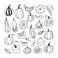 Vector set with pumpkins. Doodle fruits.