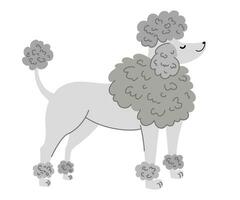 perro caniche. mascotas, animales, canino tema diseño elemento en contemporáneo sencillo plano estilo. vector dibujos animados ilustración aislado en el blanco antecedentes.