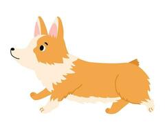 Welsh corgi cardigan. Cartoon dog. Pets, animals, canine theme design element in contemporary simple flat style. Vector Illustration isolated on the white background.