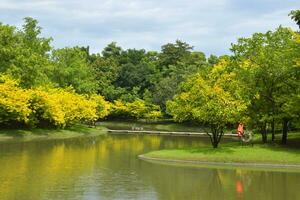 Beautiful trees and lake in a Bangkok park, Thailand photo