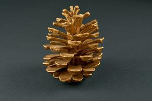 Golden Pinecone. Gilded Beauty of Nature Against Subtle Gray Background photo