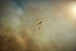 helicóptero, bomberos, prepara el trayectoria a verter agua en el bosque fuego. 2 foto