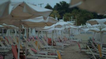 leeren Sonnenliegen unter Regenschirme auf Resort im windig Abend video
