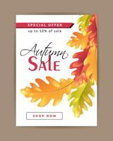 Autumn sale banner with falling multicolor oak leaves on white background vector